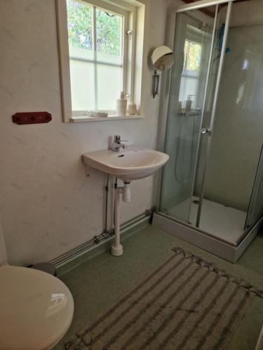 a bathroom with a sink and a shower at Rolsmo Norregård 16 in Linneryd