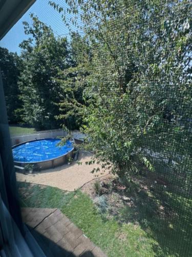 a view of a swimming pool in a yard at Bloom Victorian Bed & Breakfast in South Orange