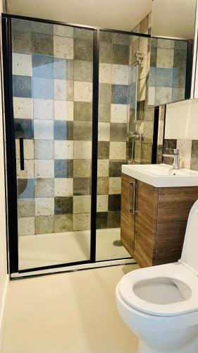 une salle de bain avec une douche, des toilettes et un lavabo dans l'établissement Petite maison en bord de mer, à Longeville-sur-Mer