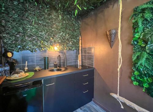 une cuisine avec un évier et des plantes sur le mur dans l'établissement La Tanière de Mowgli - Plage du môle, au Cap d'Agde