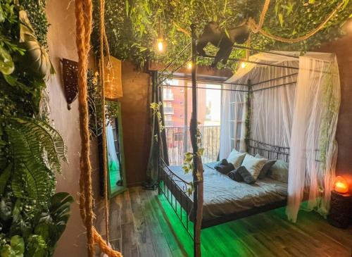 La Tanière de Mowgli - Plage du môle