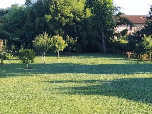 a field of grass with trees in the background at Il Casale dell'Airone in Tornaco