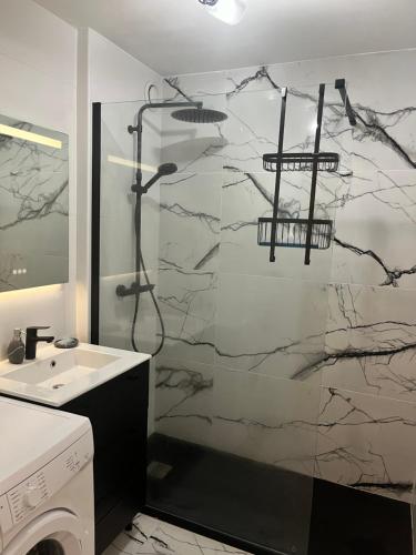 une salle de bain avec douche et lavabo dans l'établissement Style Industriel élégant, proche vieille ville, à Annecy