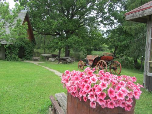 a planter filled with pink flowers in a yard at Kučuru dzirnavas in Lautere