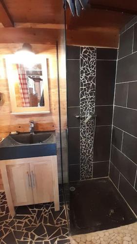 une salle de bain avec un lavabo et une douche avec un miroir dans l'établissement Petit chalet authentique, à La Blonnière
