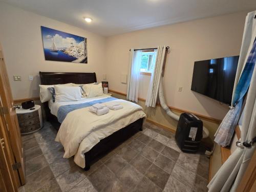 a bedroom with a bed and a flat screen tv at Peaceful Apartment in Traverse City