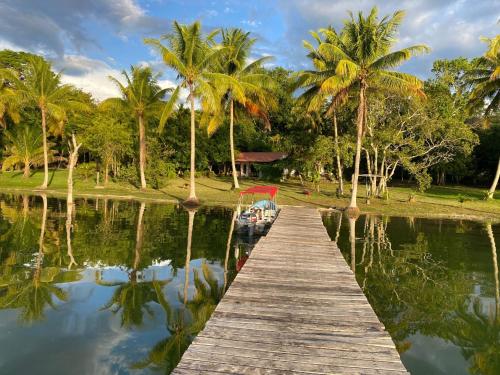 a dock in a lake with palm trees and a boat at Villa Tayasal in Flores