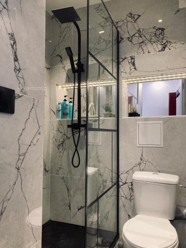 une salle de bain avec douche et toilettes dans l'établissement Petit nid sympa a Strasbourg, à Strasbourg