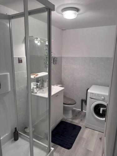 une salle de bain avec un lavabo et une machine à laver dans l'établissement T3 Confortable à Abbeville - Baie de Somme, à Abbeville