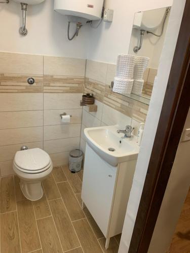 a bathroom with a toilet and a sink at LA CASA DEL BORGO in Campoli Appennino