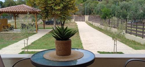 a table with a plant sitting on top of it at Fish eye in Nikiti