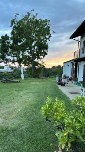 a grassy yard with a tree and a house at L Ottavo Sapore Ospitalita Rurale in Monteu Roero
