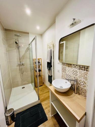 une salle de bain avec une douche, un lavabo et des toilettes dans l'établissement T3 Charmant, à Limoges
