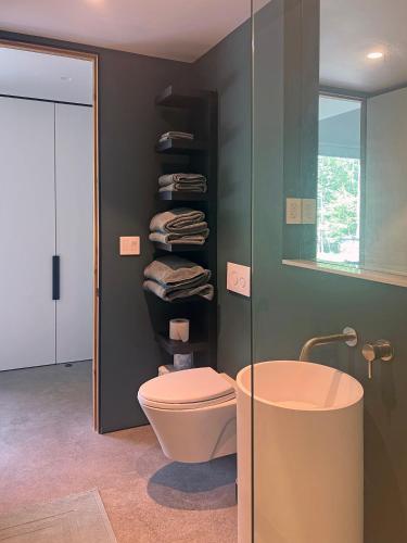 a bathroom with a toilet and a sink and a mirror at Coldbrook Bed and Breakfast in Bearsville