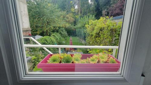 Taman di luar Maison Calme Terrasse et Jardin Vue Forêt