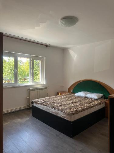 parc sebastian في بوخارست: غرفة نوم بها سرير ونافذتين