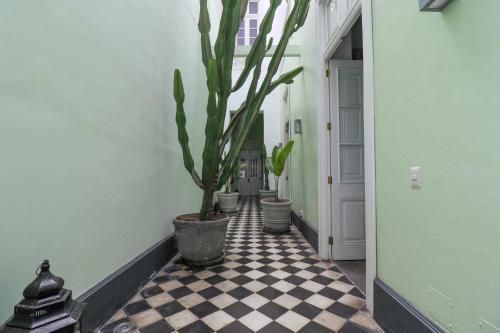 a hallway with potted plants and a checkered floor at Bohemian Villa in heart of Barranco in Lima