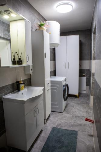 Un baño con lavabo y lavadora. en Apartment WLV- with lake view, en Konjic