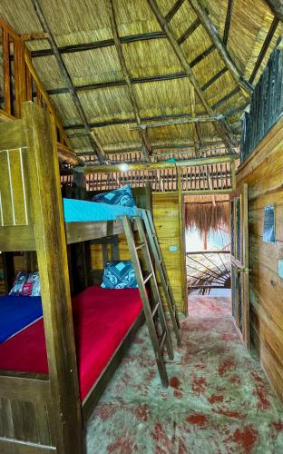 a group of bunk beds in a room at Hostal Nibuni Palomino in Palomino