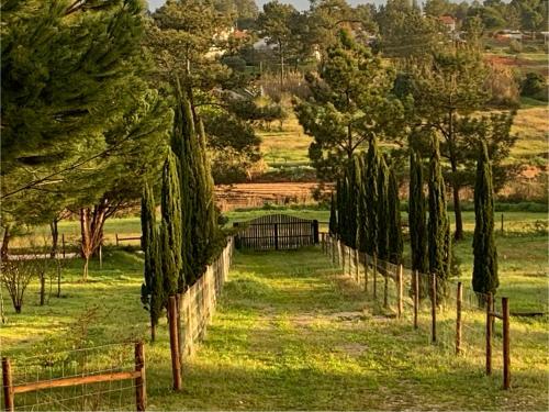 Gallery image of Sana Home in Fajarda