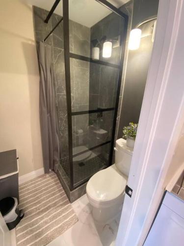 a bathroom with a toilet and a glass shower at Studio unit with private entrance, 2 bed 1 bath in St. John's