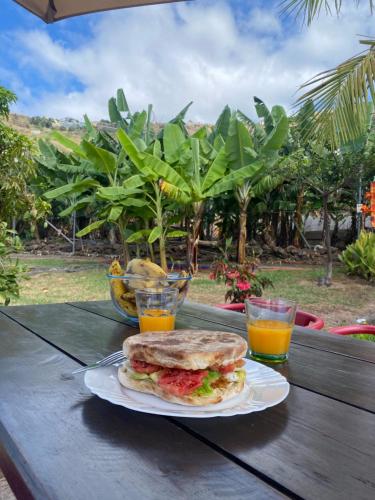 As Casinhas da Madeira - Cosy Stone Cottage in a subtropical garden