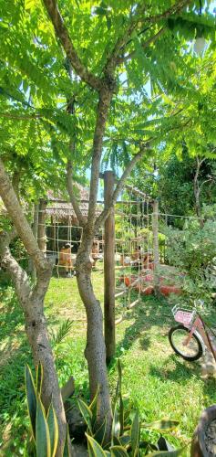 a tree in a yard with a bike parked under it at Home Farm Villa Hoi An in Hoi An