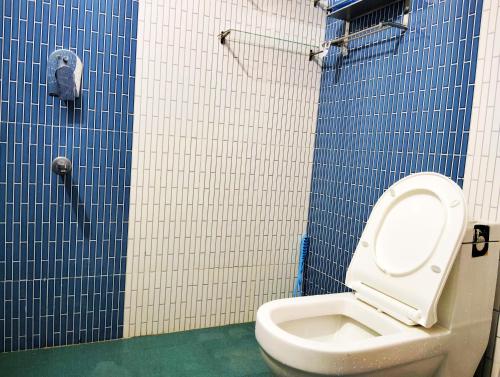 a bathroom with a toilet and a blue and white tiled wall at Doon Niwas Homestay 2-Bedroom 1st Floor- Mountain view, near main Picnic Spots, comfortable peaceful central Family-friendly in Dehradun