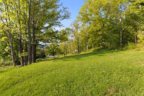 a large grassy field with trees in the background at Cozy Two Bedroom Home On Canandaigua Lake in Rushville