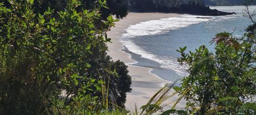 a view of a beach with trees and the ocean at Blue Marlin Apartments in Whitianga