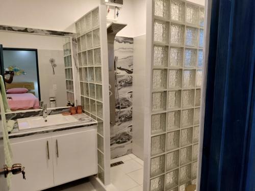 un baño con lavabo y espejo en Agréable appartement en rooftop, en La Cabirma