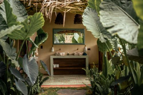 a room with a mirror and some plants at Baba Yaga Atitlan in San Marcos La Laguna