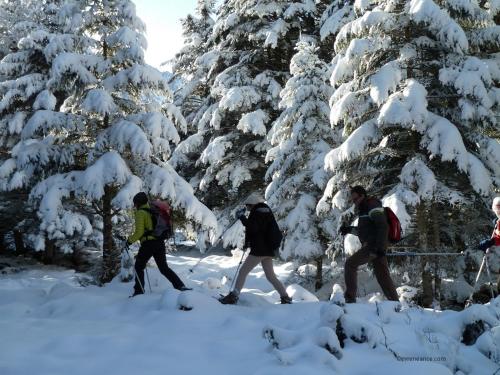 a group of people walking through a snow covered forest at Hôtel Saint Vincent in Bagnères-de-Bigorre