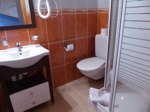 a bathroom with a toilet and a sink and a shower at Residence Panorama in Villars-sur-Ollon