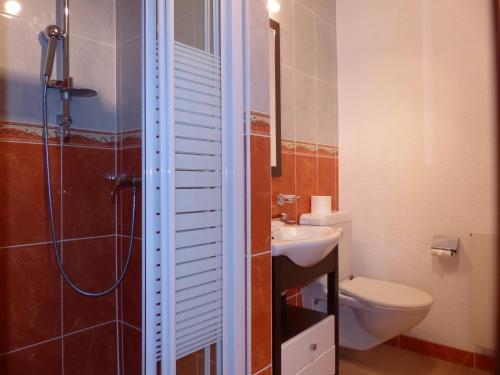 a bathroom with a toilet and a sink and a shower at Residence Panorama in Villars-sur-Ollon