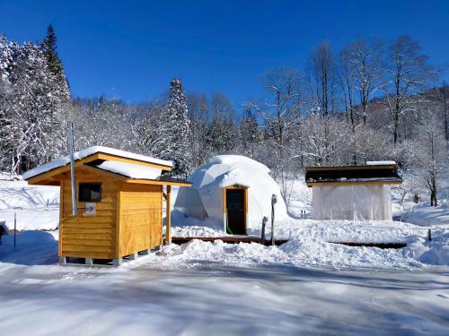 a igloo house in the snow with snow covered trees at 白馬森のわさび農園オートキャンプ場 in Hakuba