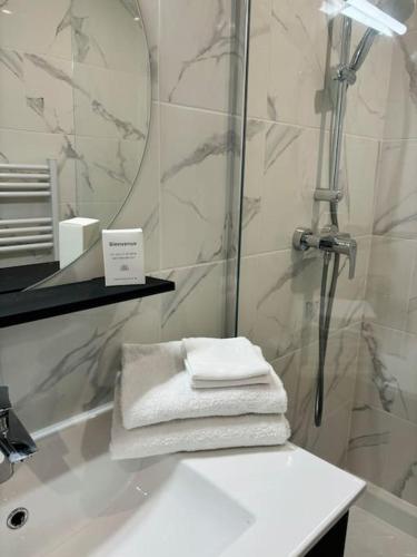 La salle de bains est pourvue d'une douche, d'un lavabo et de serviettes. dans l'établissement L'Olivier - Calme, Chaleureux, proche transports, à Lyon