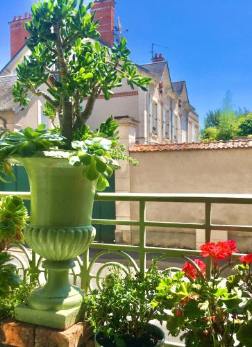 une plante dans un vase vert sur un balcon dans l'établissement Le 1930, chambres d’hôtes de charme, à Cosne Cours sur Loire
