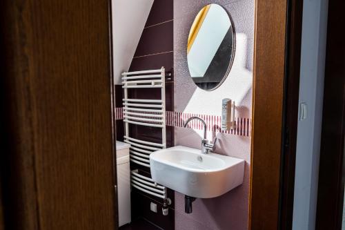 a bathroom with a sink and a mirror at Biała Koszula in Tleń