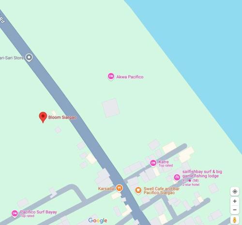 a map of the city of corpus christi at Bloom Siargao - Cozy Studio in Pacifico in San Isidro