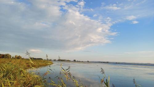 a view of a river with a cloudy sky at Zimmer am See in Fußach