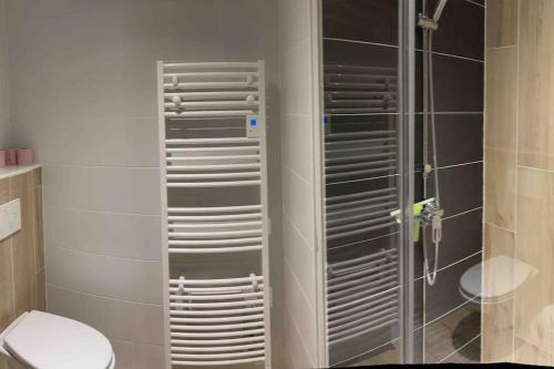 a bathroom with a shower and a toilet at T2, coeur village basque terrasse Ezpeleta in Larressore