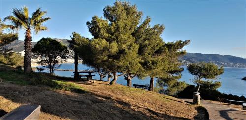 La Favièreにあるcap azurの水の景色を望む木立公園