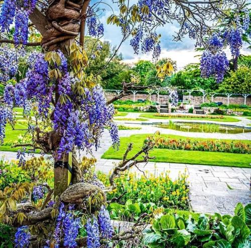 Φωτογραφία από το άλμπουμ του BRAND NEW Stay in Southend with a garden σε Southend-on-Sea