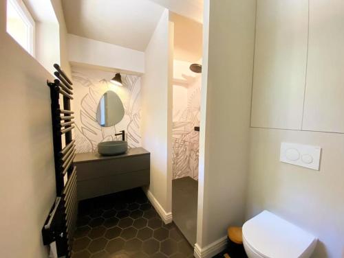 une salle de bain avec un lavabo et un miroir et des toilettes dans l'établissement Mazet Cordelles Alpilles, à Eygalières