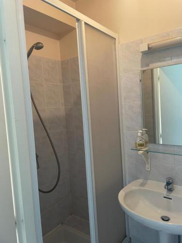 une salle de bain avec douche et lavabo dans l'établissement Petit studio avec parking, très bien équipé proche des Thermes et du centre ville Nouvelle literie, à Salies-de-Béarn