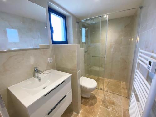 une salle de bain avec un lavabo, des toilettes et une douche dans l'établissement Mazet avec piscine, à Saint-Rémy-de-Provence