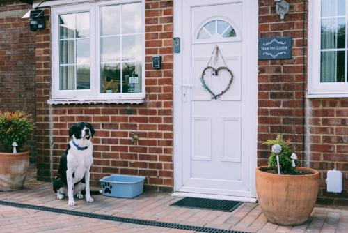 a black and white dog sitting in front of a house at New Inn Lodge In Scarning Near Dereham Norfolk England in East Dereham