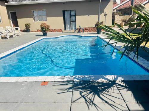 a blue swimming pool with a shadow of a palm tree at Horizon Bed and Breakfast in Roodepoort