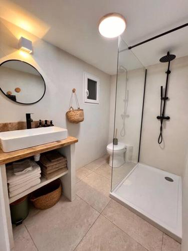 une salle de bain avec un lavabo et un miroir et des toilettes dans l'établissement Casa Brahma pour 8 personnes -Porto Vecchio, à San-Gavino-di-Carbini